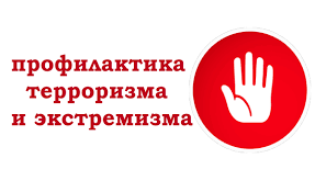 Профилактика террористических и экстремистских проявлений в молодежной среде