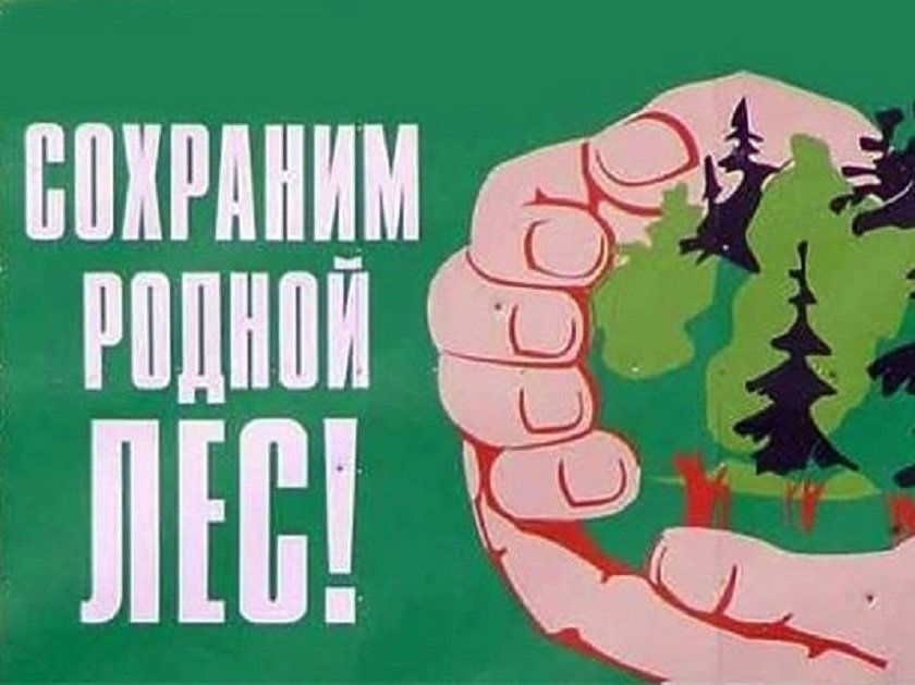 Участие в республиканской акции «Восстановим леса вместе!»