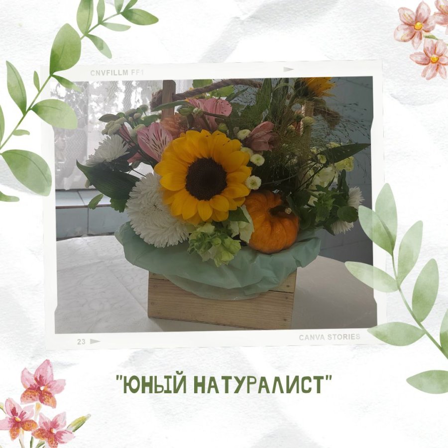 Анна Апанович принимает участие в конкурсе 