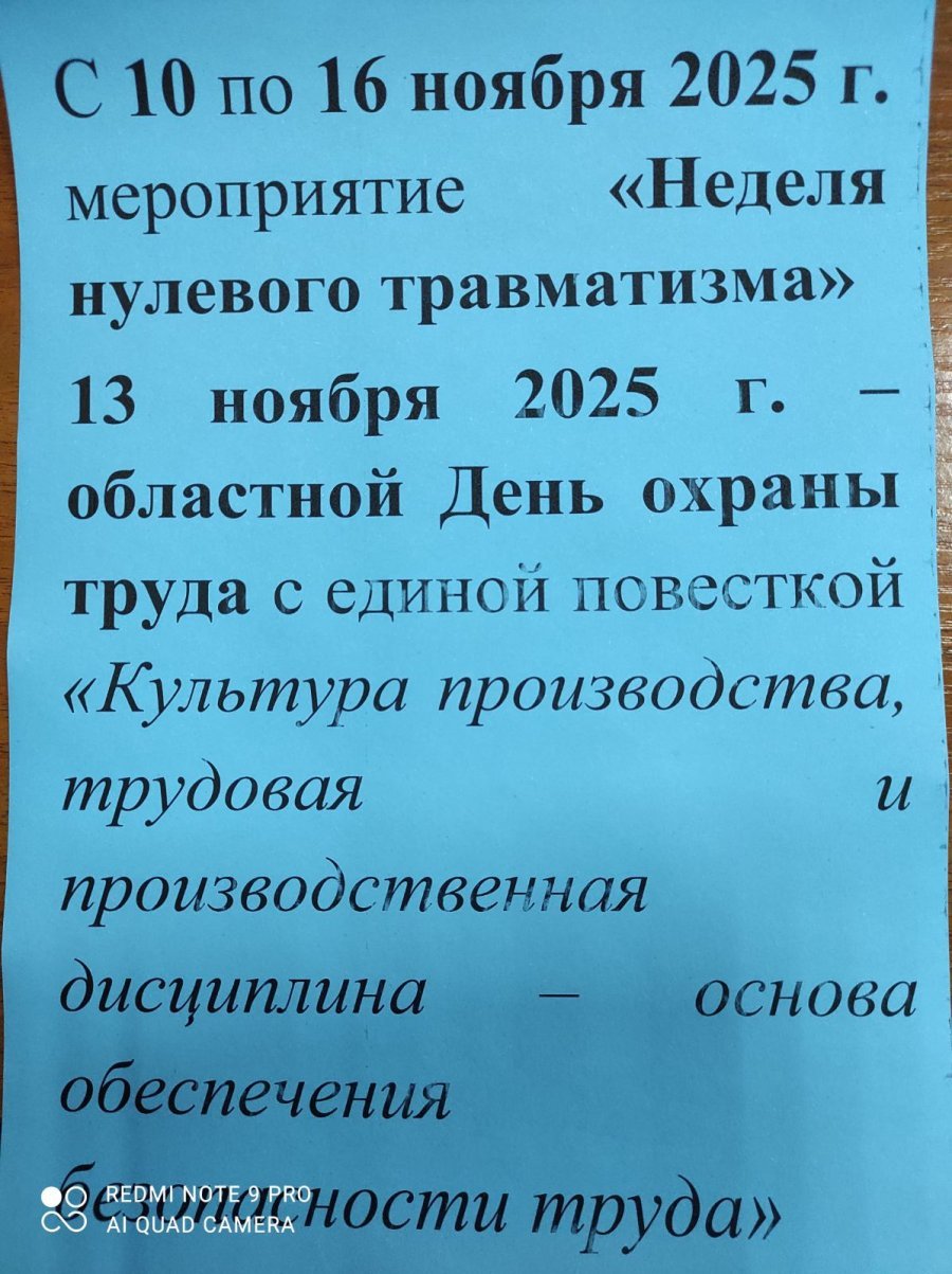 С 10 по 16 ноября 